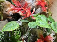 -上海虹桥迎宾馆