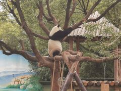 -上海野生动物园