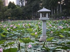 -渭滨公园