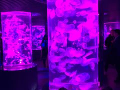 -南昌海洋公园