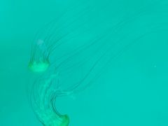 景点-长春农博园