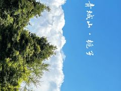 -青城山