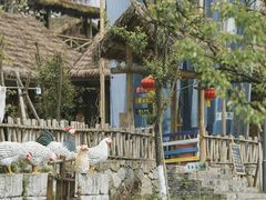 -黄龙溪欢乐田园