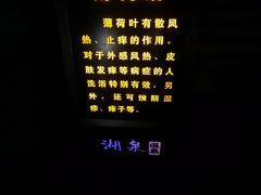 -湖泉半山温泉