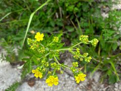 -天津盘山风景名胜区