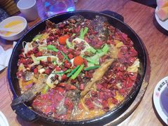 -老板恋上鱼(恒隆广场店)