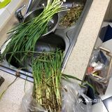 哑巴生煎还没开门。其实，很多出名要排队的店都已经开门了