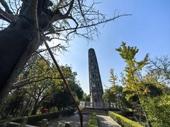 -上海佘山国家森林公园天马山园