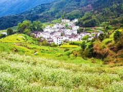 -婺源风景区