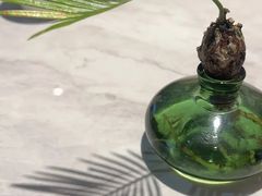 -陶兰居·手工点心·粤菜(圆融时代广场店)