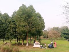 -白鹭湾湿地公园