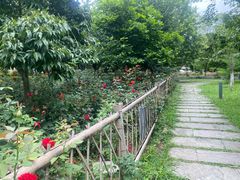 -花溪公园