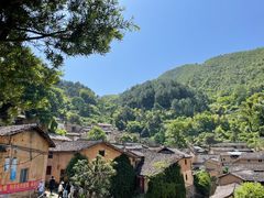 -杨家堂村
