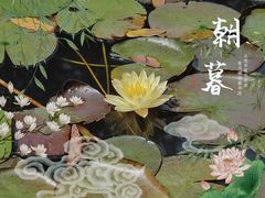 -大宁公园