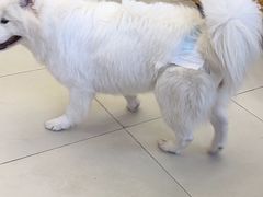 -怪兽屋·羊驼·猫咖·狗咖(俊华广场店)