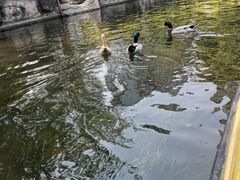 -晓港公园