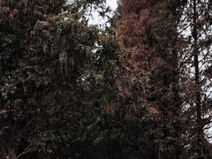 -良渚古城遗址公园