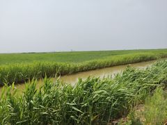 -东方华地城湿地温泉度假区