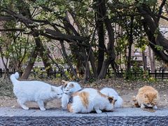 -蓬莱阁景区
