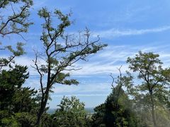 -北京西山国家森林公园