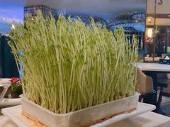 -美姿水荟美食水疗