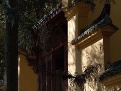 -天目山大树王景区