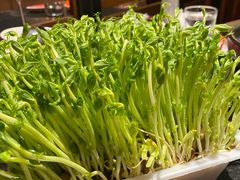 -捞王猪肚鸡火锅(昆山店)