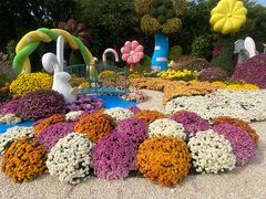 -上海共青森林公园