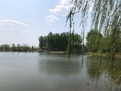 -东郊湿地公园