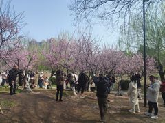 -堤角公园