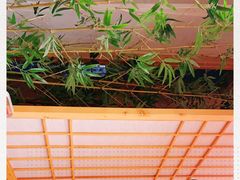 -文三酒肆自助放题(新街口友谊广场店)