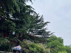 -烟台山景区