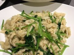 芫爆鸡丝-燕春楼(海河华鼎店)