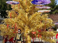 -石岛赤山风景区