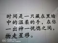 -双井轩(双井店)