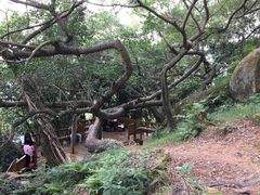 -青芝山风景名胜区