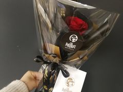 -植物学家的女儿(北马道巷店)