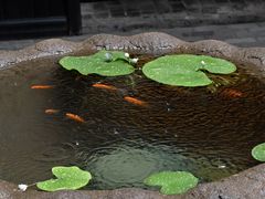 -31号公馆(黄兴广场白果园店)