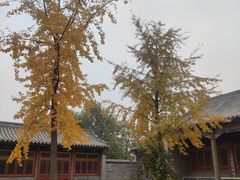 -河北村民俗体验园