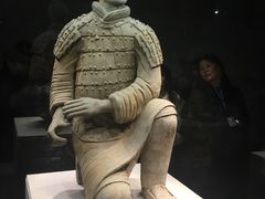 俑人-秦始皇帝陵博物院(兵马俑)