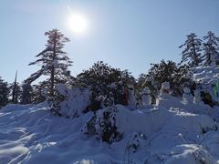 -瓦屋山景区