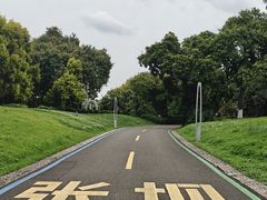 -张坝桂圆林公园