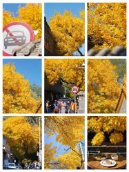 -北遇映画PHOTO GRAPHY STUDIO