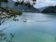 -广州市流溪河国家森林公园