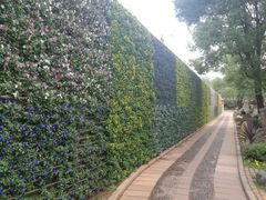 -云南民族大观园