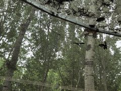 -北戴河集发农业梦想王国