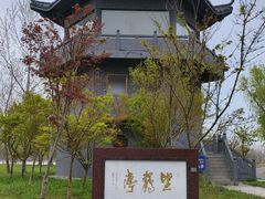 -盐城丹顶鹤湿地生态旅游区
