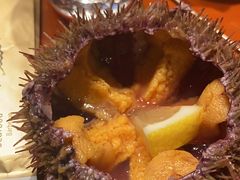 -吉之仙•中国制造•出口级食材日料店(领事馆总店)