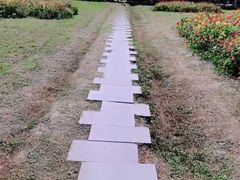 -苏州太湖西山岛开心农场