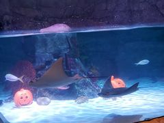 -沈阳海洋探索中心